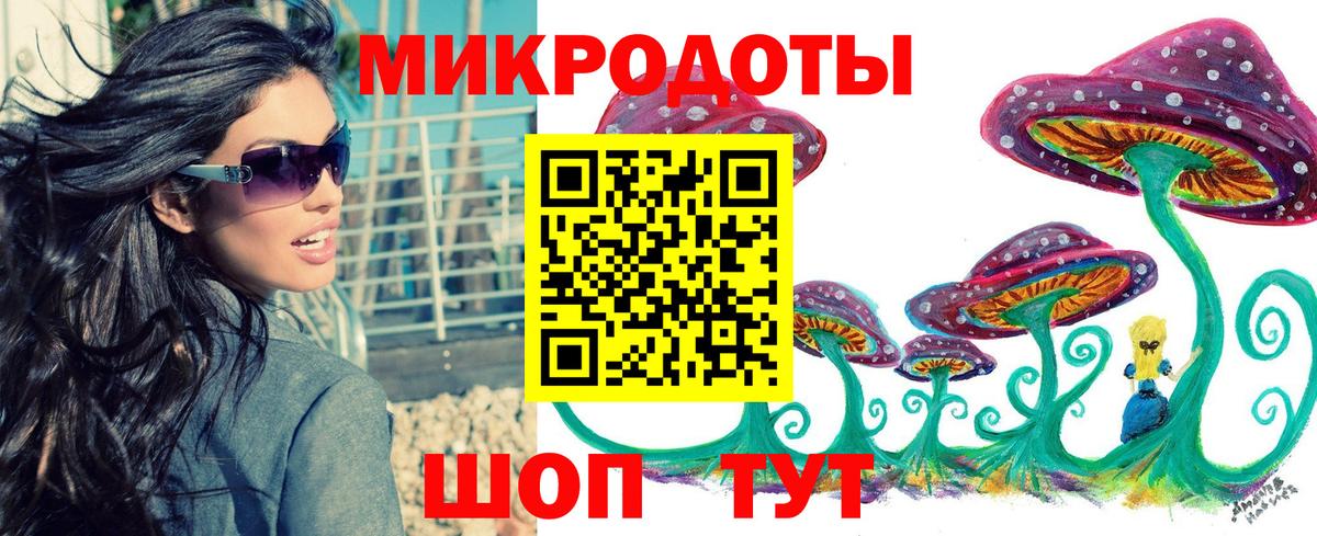 Галлюциногенные грибы Psilocybe Горно-Алтайск